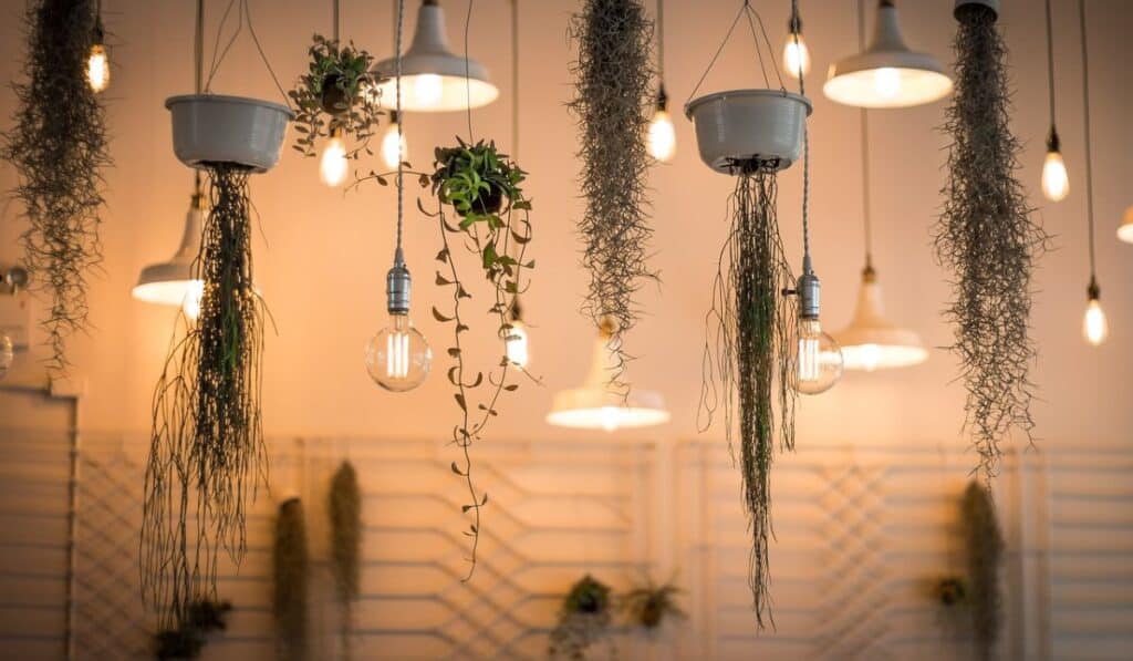 Pendant Lighting Ideas