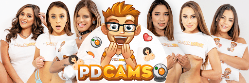 Adult Webcam Safety Guide