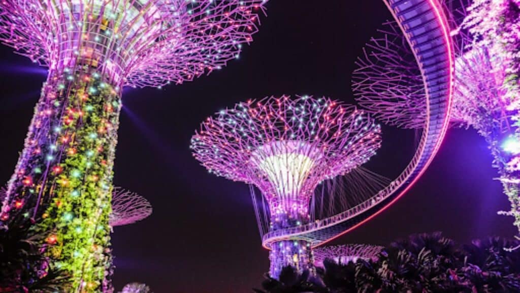 Tree-like structures covered in lights during nighttime