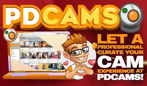 Adult Webcam Safety Guide