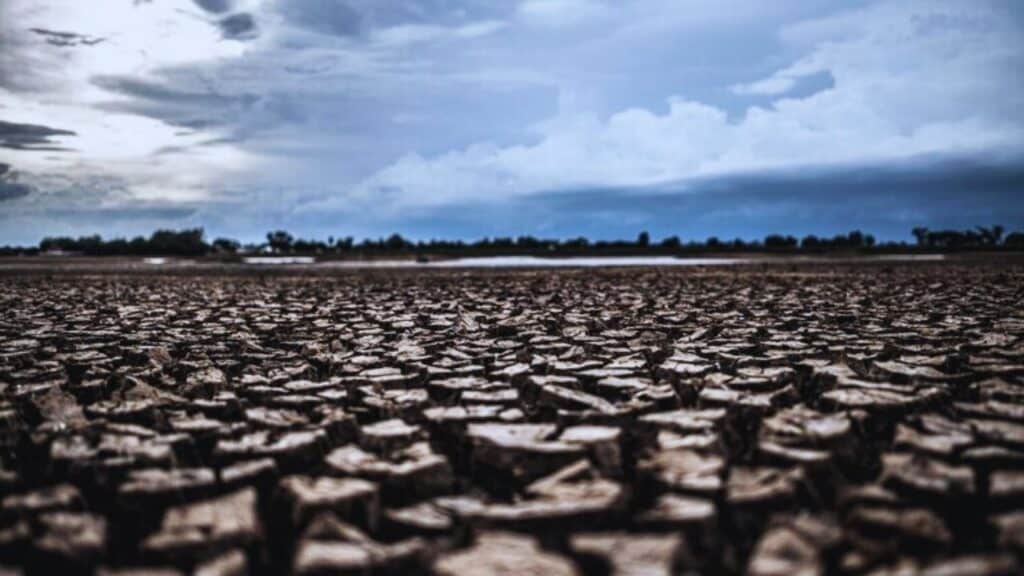 Experts Predict Strong El Nino in 2024