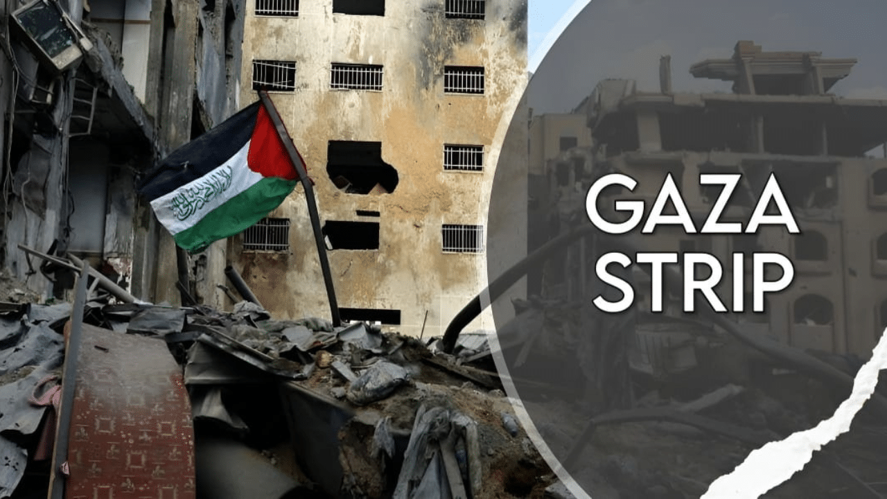 gaza strip
