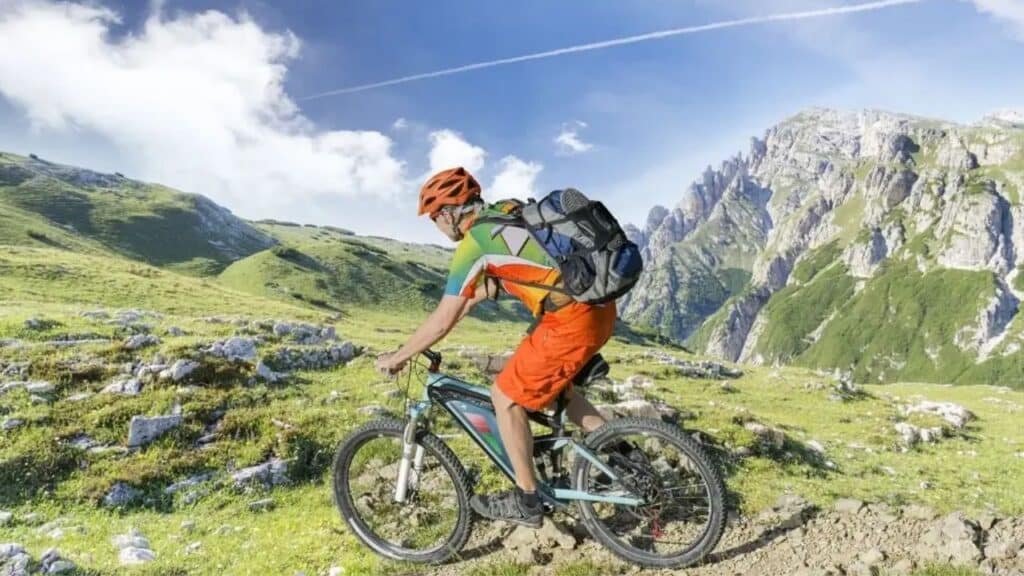 New in Electric Bicycles