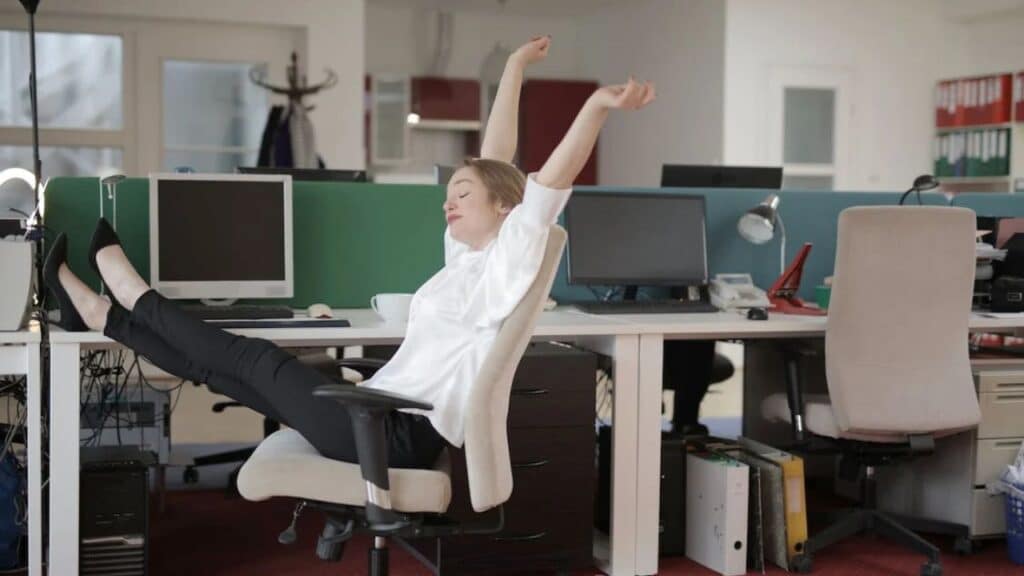 Ergonomic Office Chair