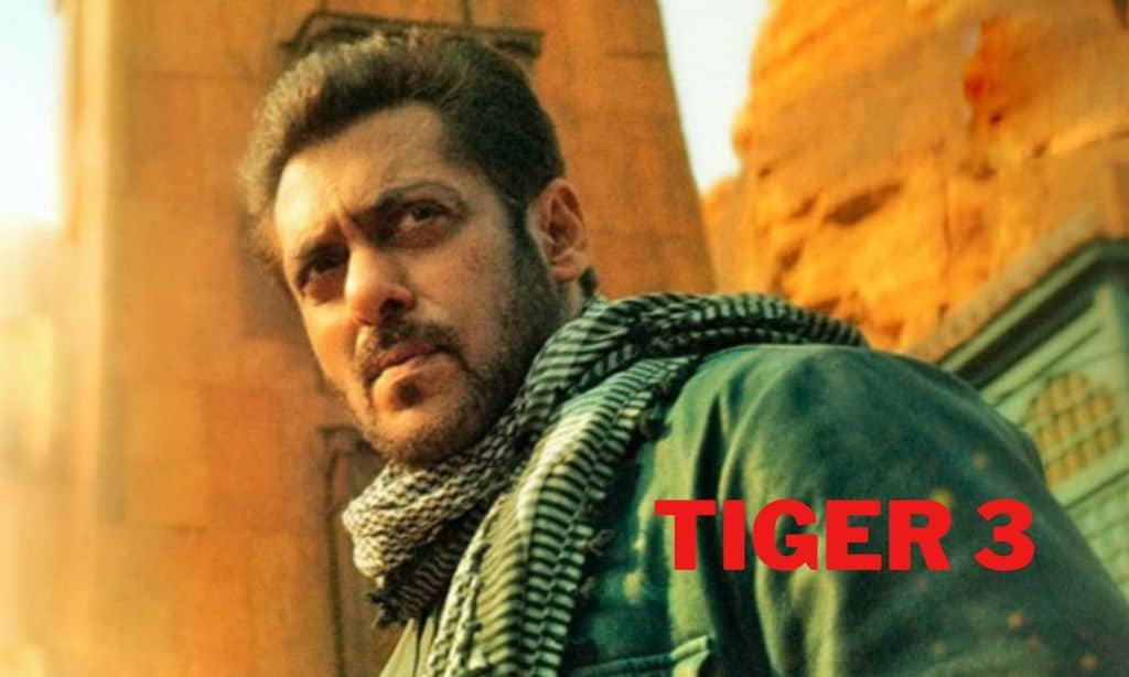 Tiger 3 Review