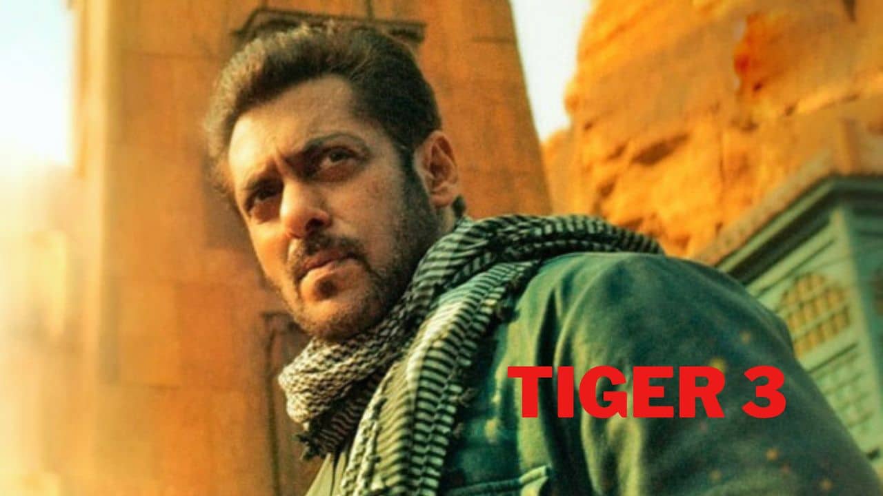 Tiger 3