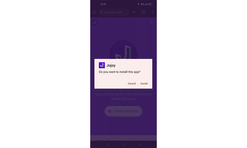 Installation warning jojoy minecraft