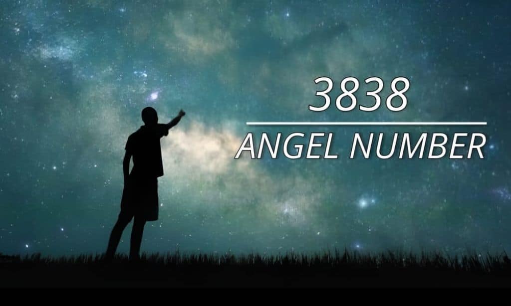 3838 Angel Number 