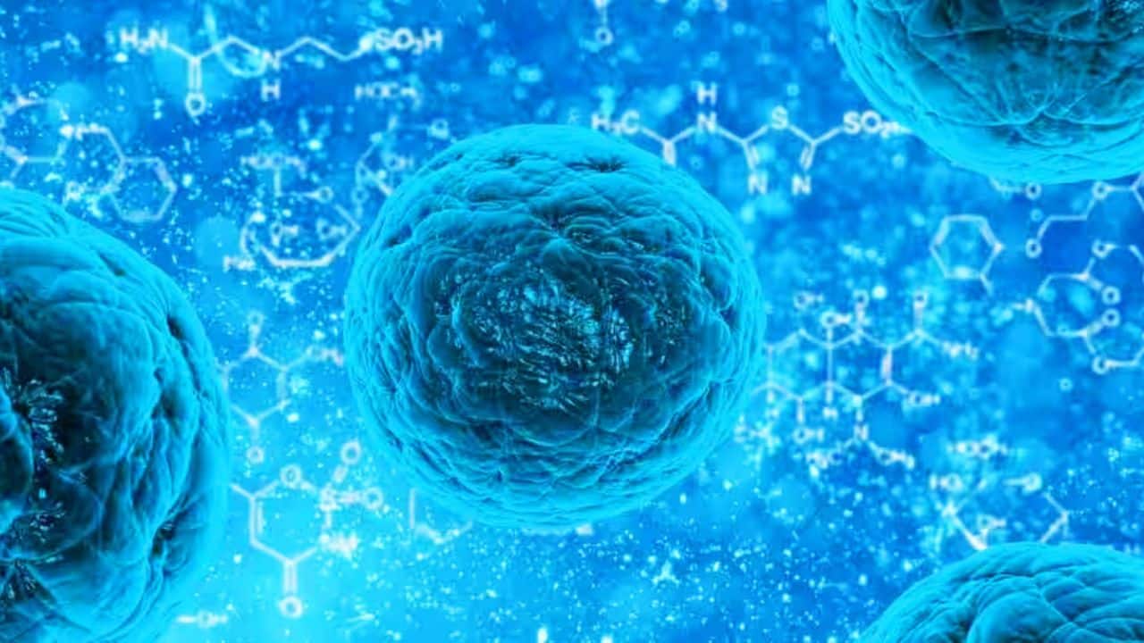 Fungal Diseases