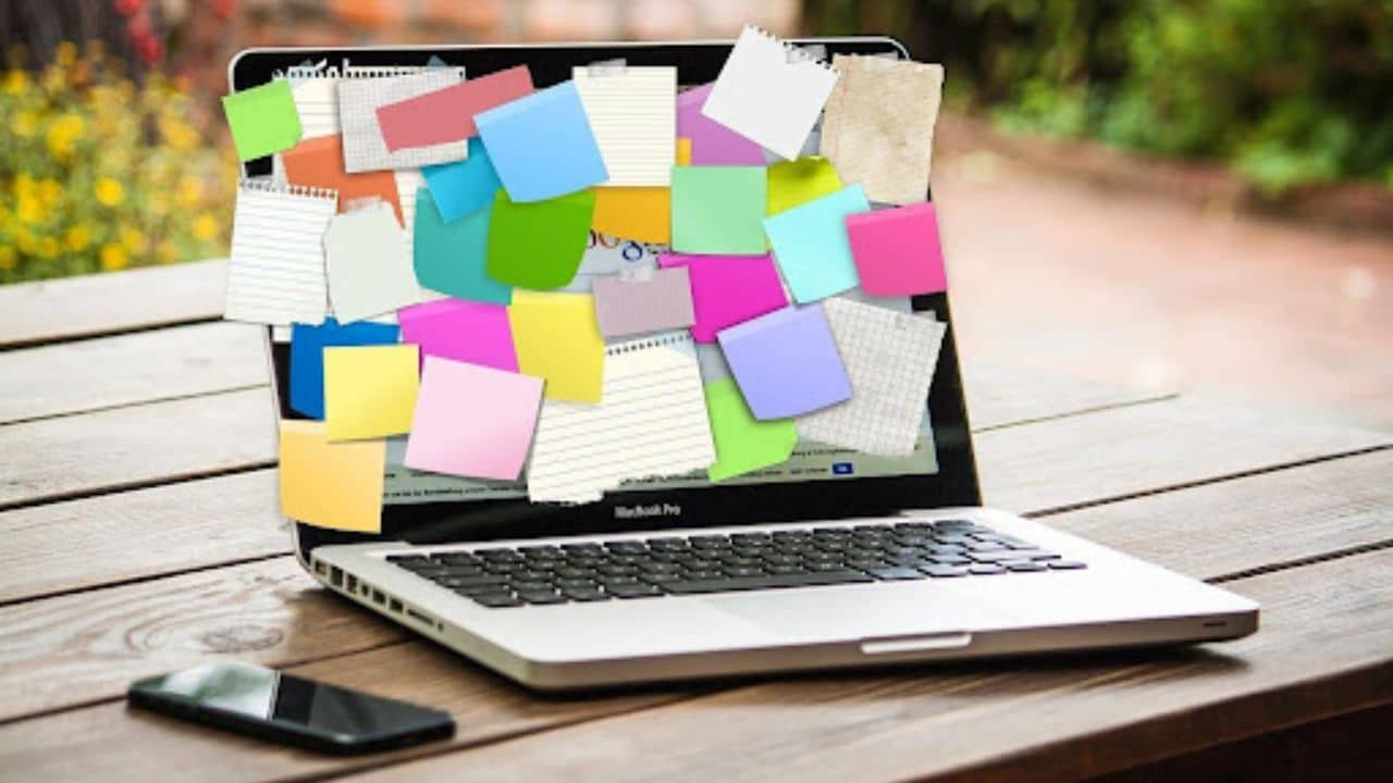 Ideal Career Path Strategies