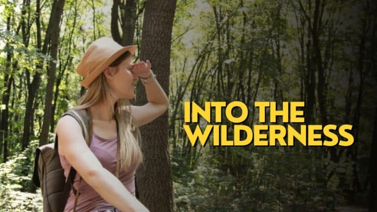 Into The Wilderness