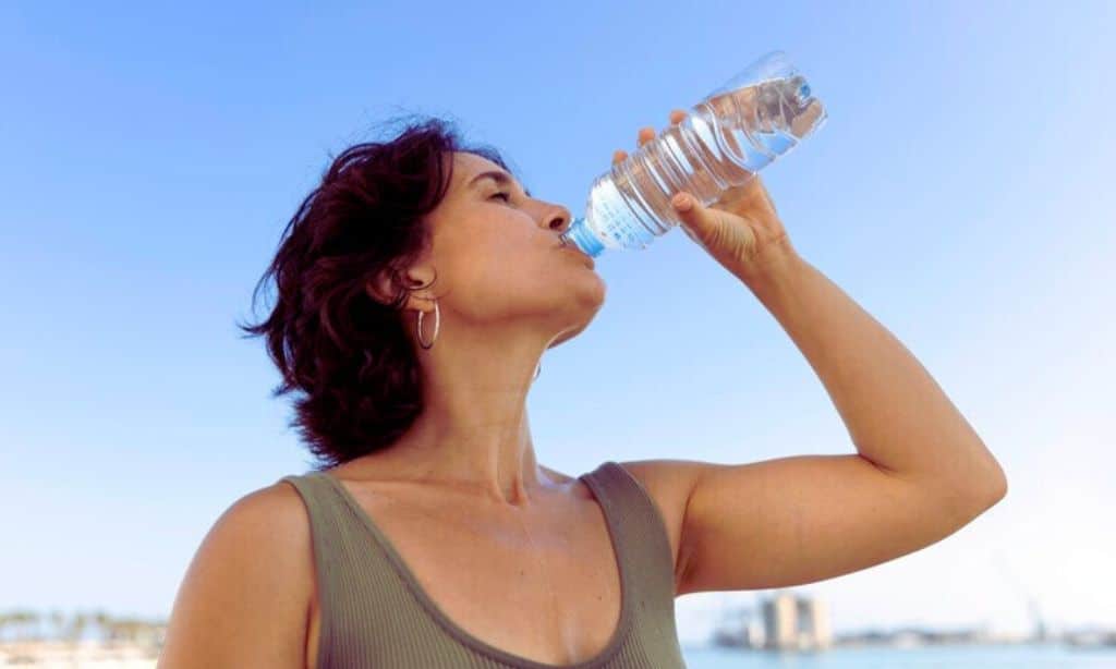 Stay Hydrated