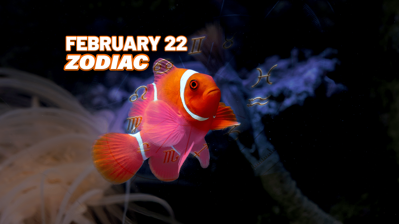 February 22 Zodiac