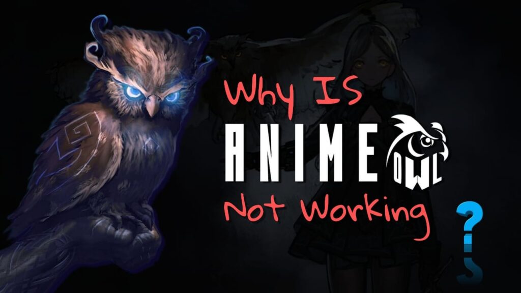 animeowl