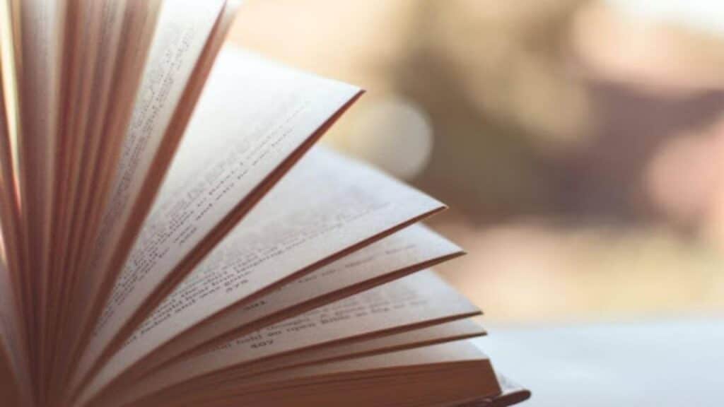 Casino Books to Keep You Hooked