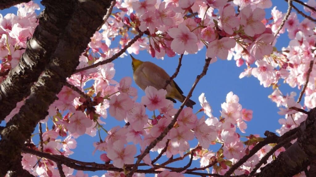 First Day of Spring 2024