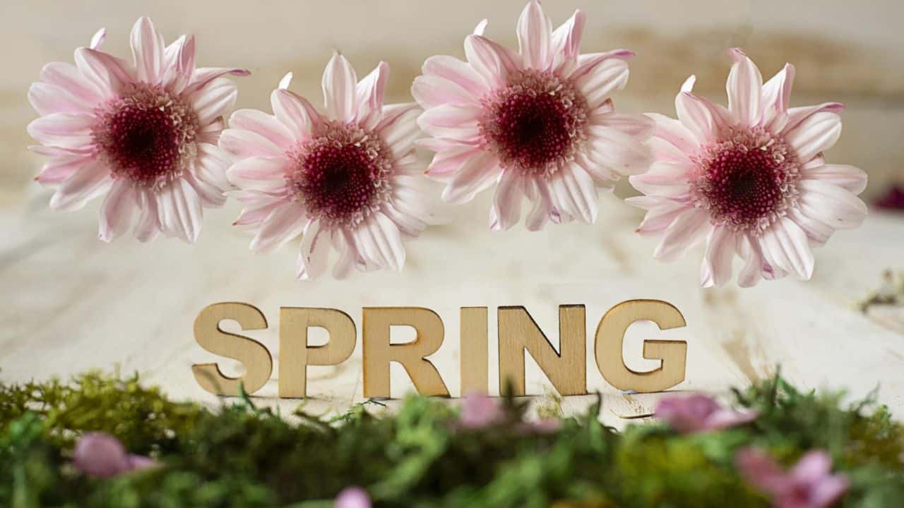 First Day of Spring