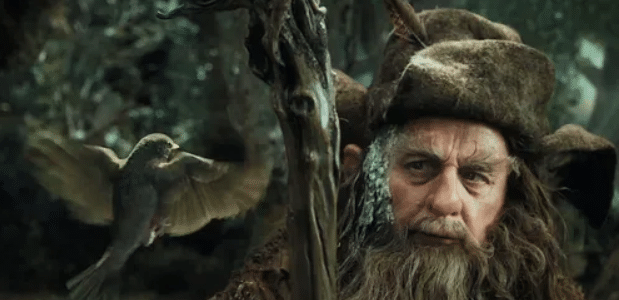  Radagast the Brown