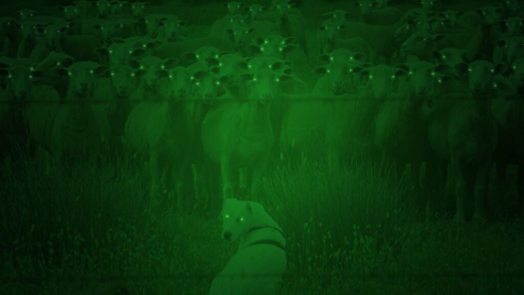 Digital Night Vision Technology