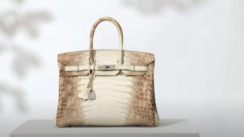 Niloticus Crocodile Himalaya Birkin
