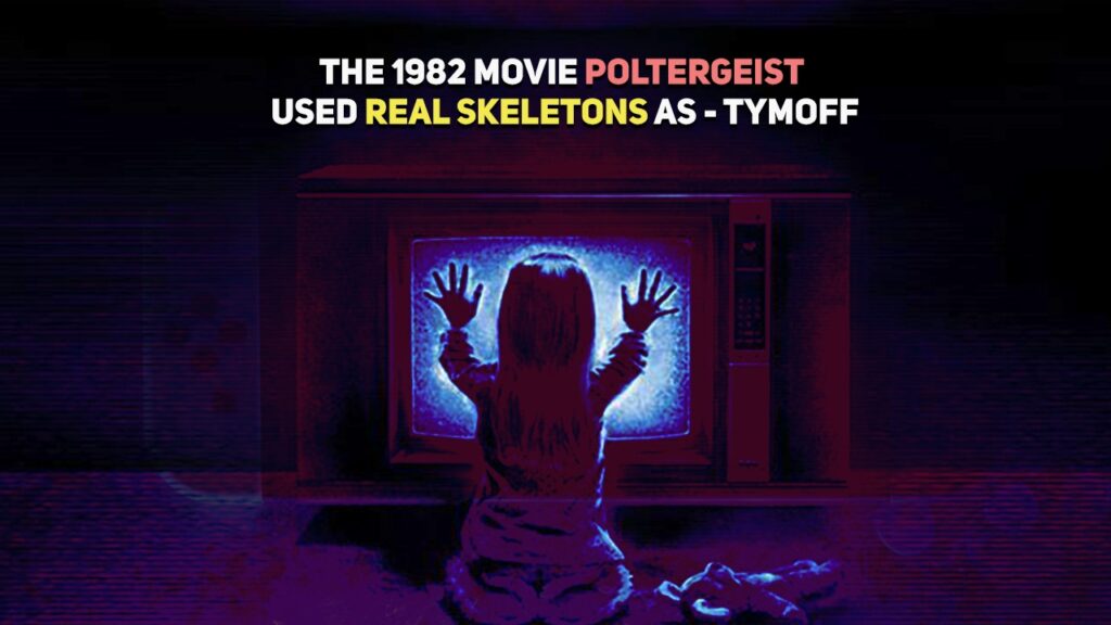 The 1982 Movie Poltergeist Used Real Skeletons As - Tymoff