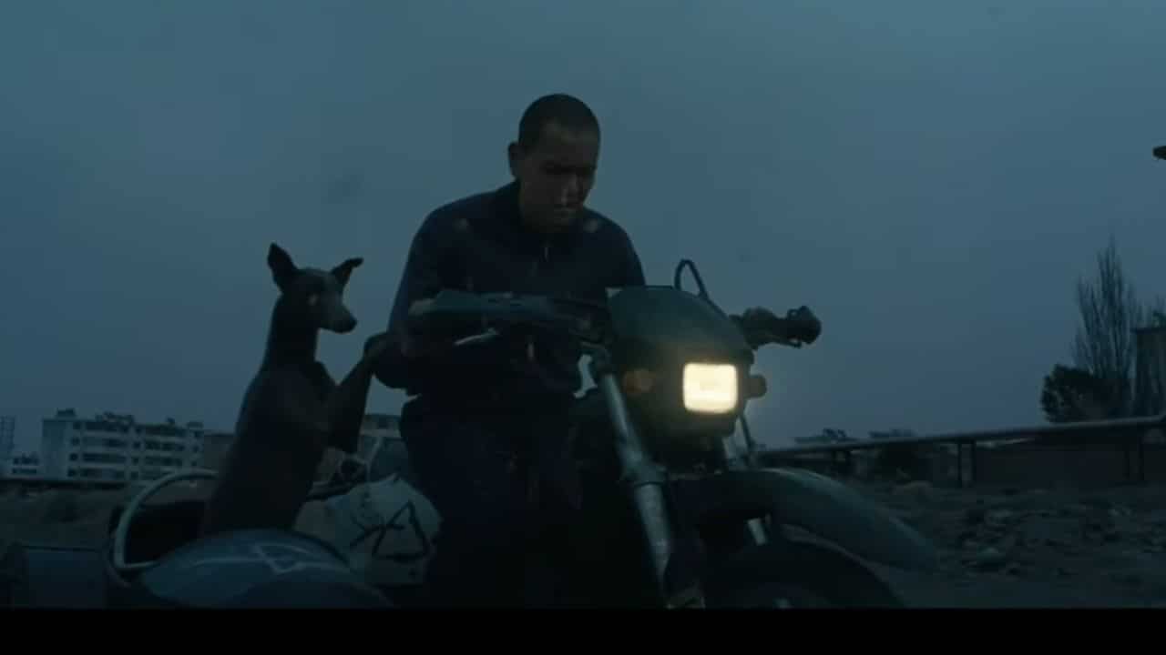 Cannes Black Dog Wins Un Certain Regard Award