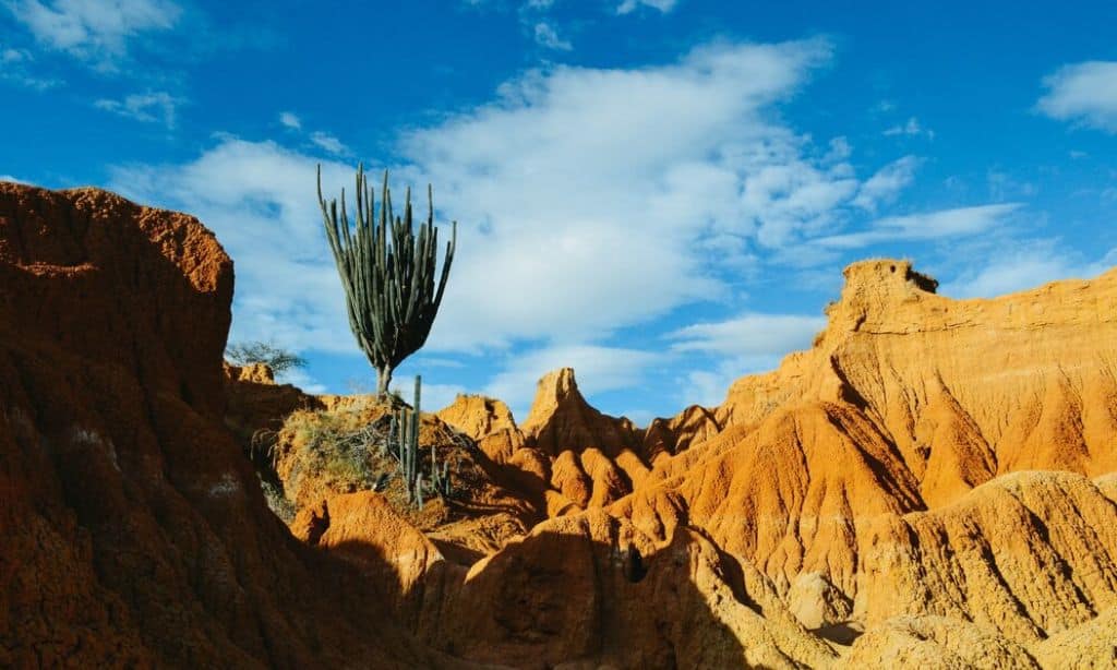 Tatacoa Desert