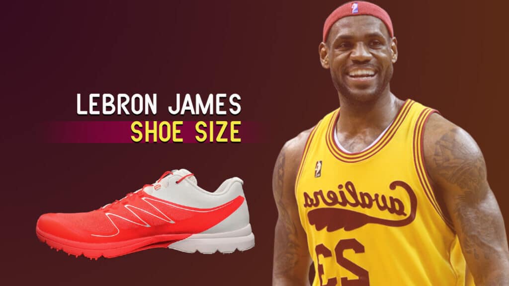 lebron james shoe size