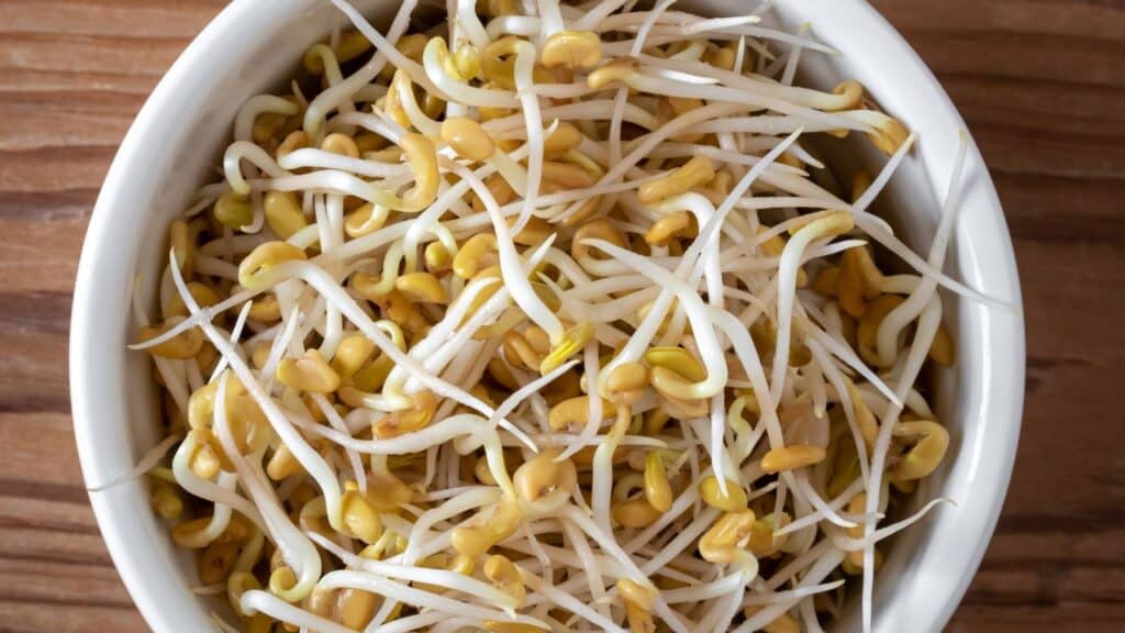 Methi Sprouts