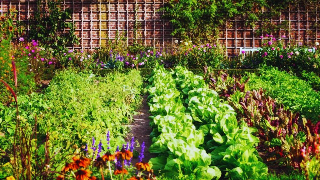 Vegetable Gardening Tips