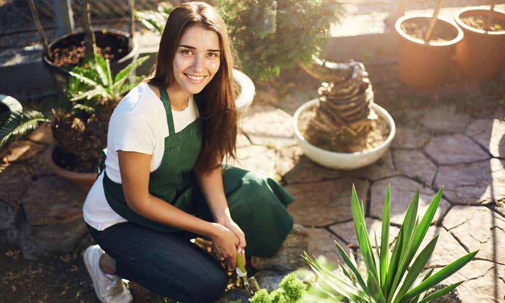 Backyard Pest Control Guide