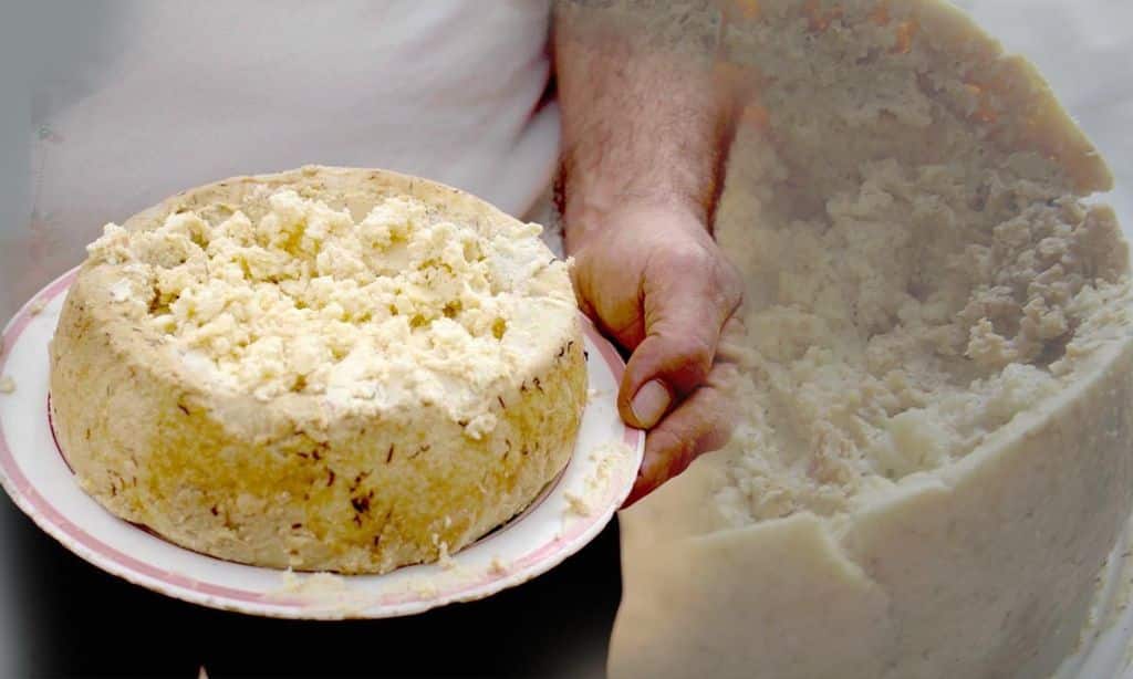 Casu Marzu - Italy