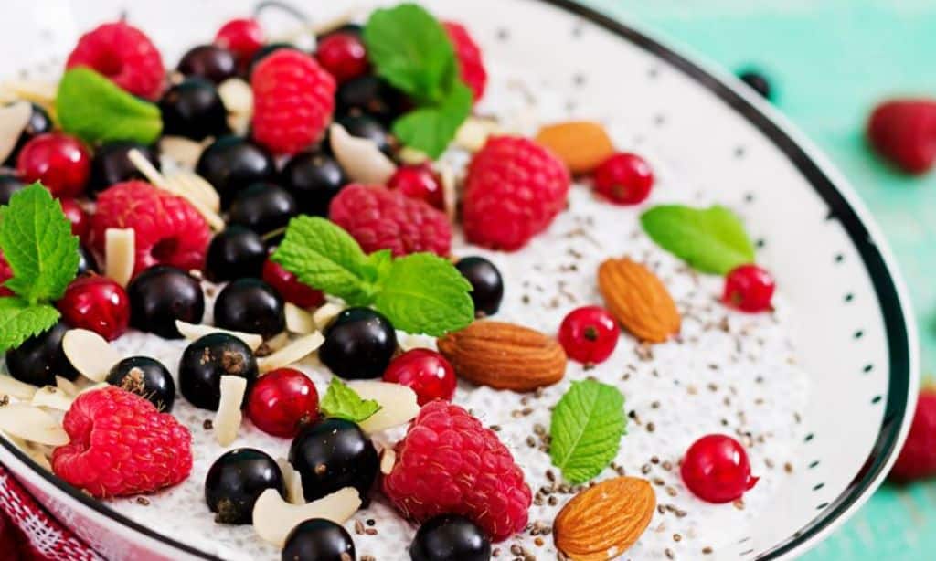 Chia Seed Pudding