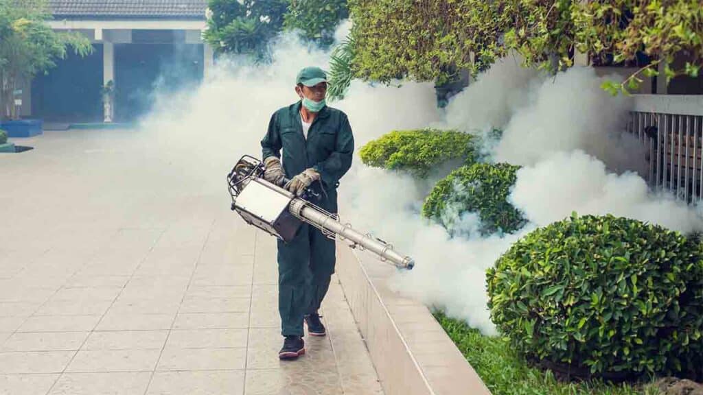 Common Mosquito Mistakes and How to Avoid Them