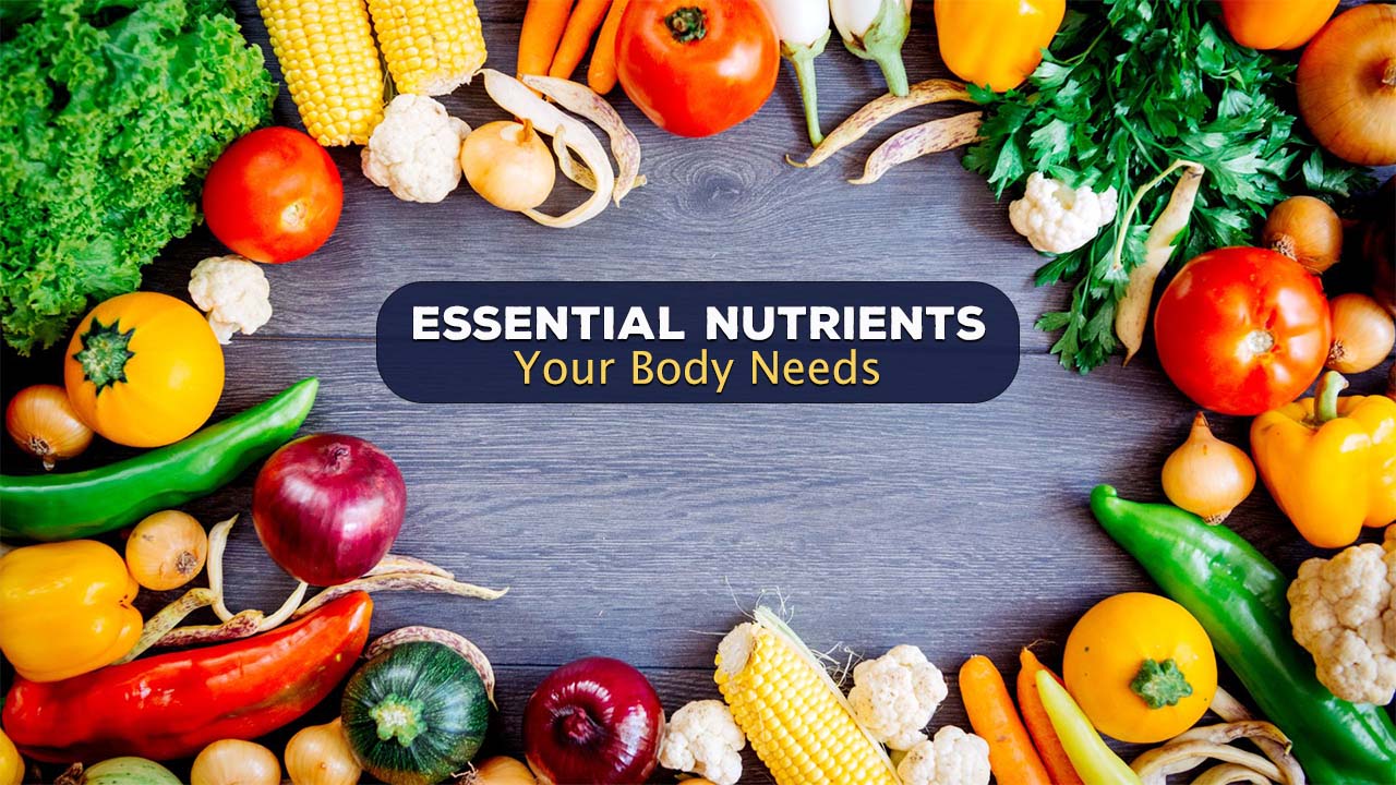 Essential Nutrients Your Body Needs