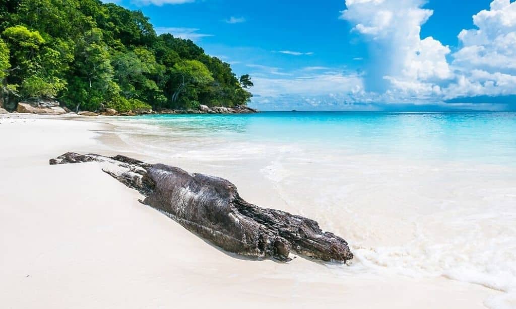 Galápagos Islands
