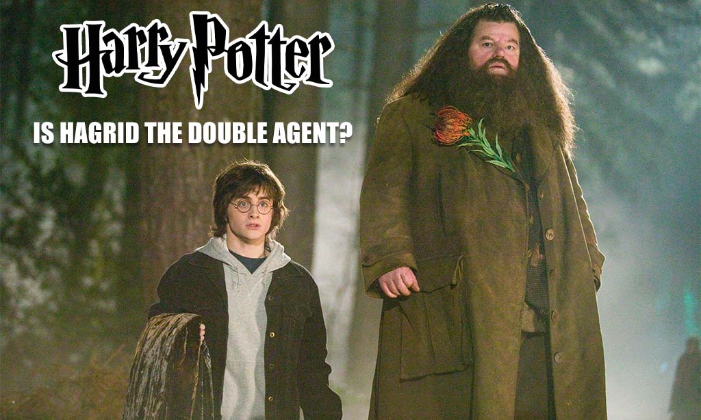 Harry Potter Series