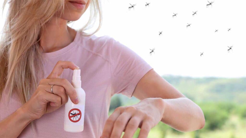 How to Avoid Common Mosquito Mistakes