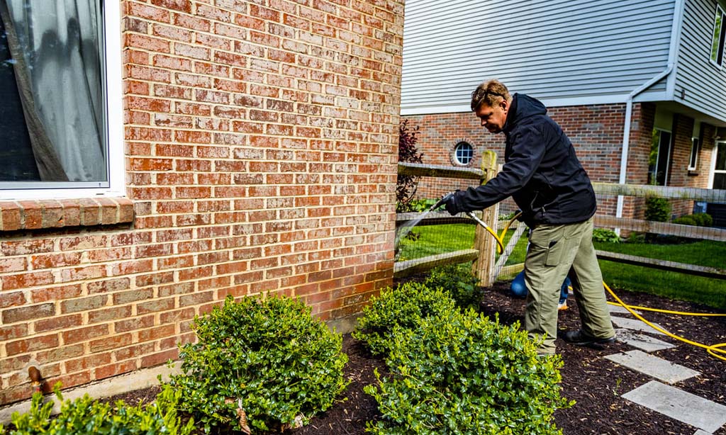 Keep Bugs Out of Your Backyard