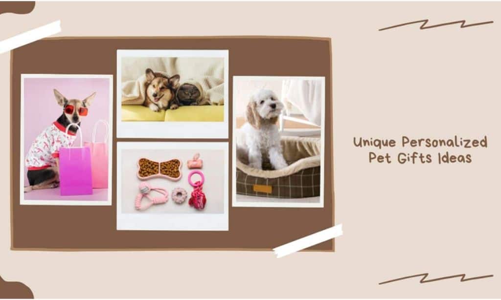 10 Personalized Pet Gifts Ideas that Will Melt Any Pet Owner's Heart 