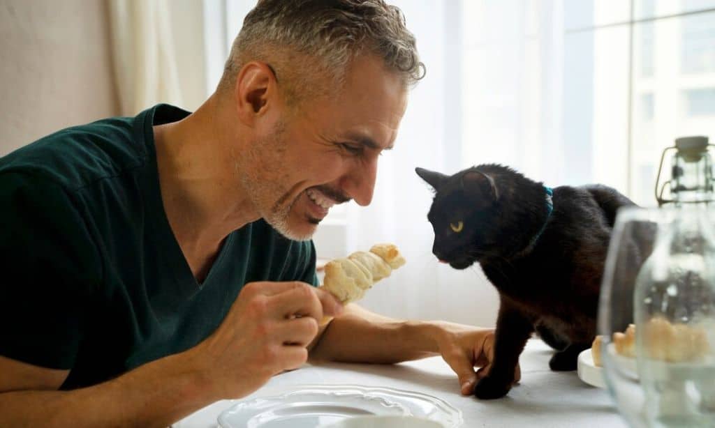 Pet Food Taster