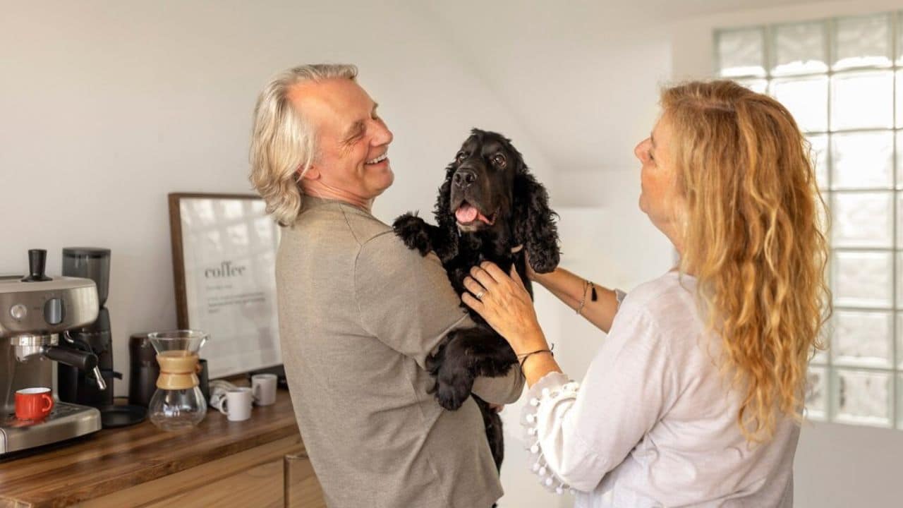 Senior Pet Care