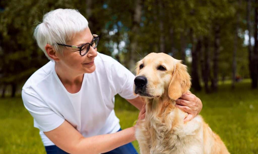 Senior Pets