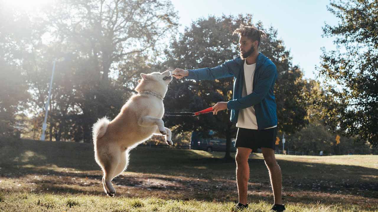 Socialize Your Dog Early