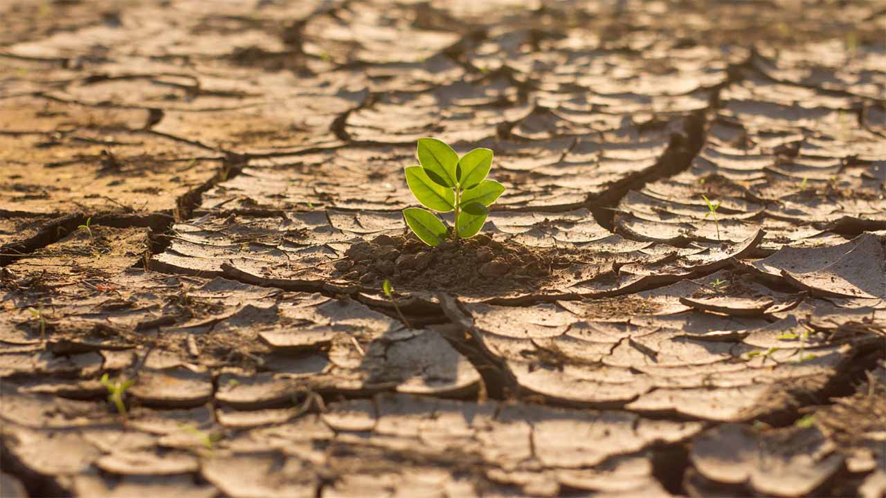 Soil Degradation