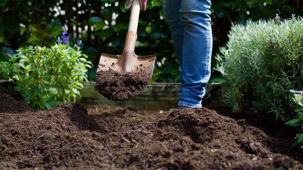 Gardener digging soil in a garden with a shovel