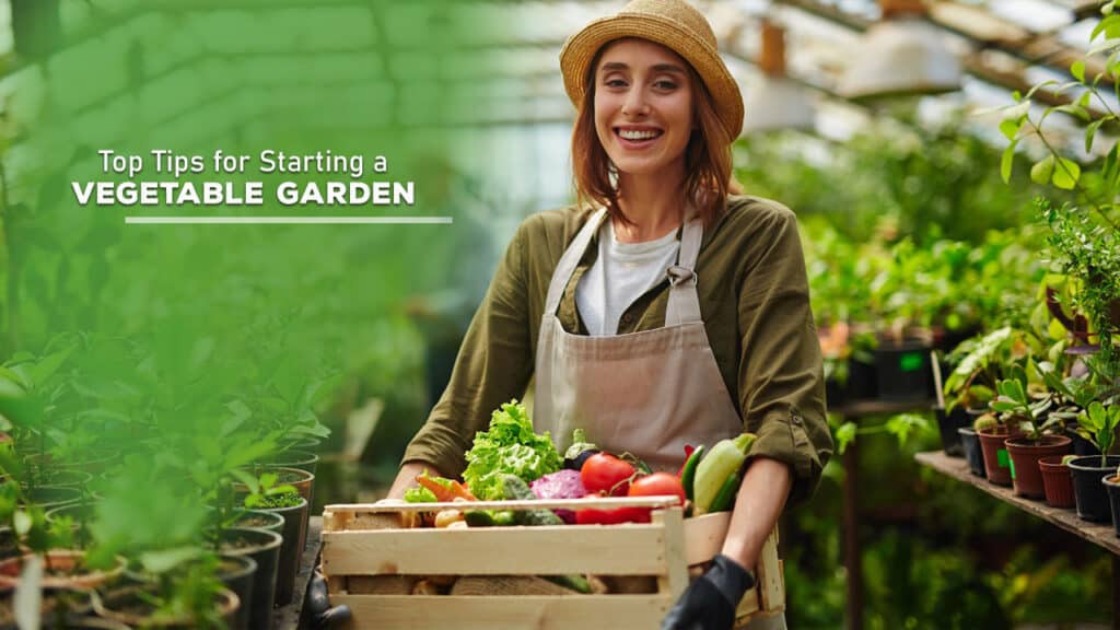 Top Tips for Starting a Vegetable Garden