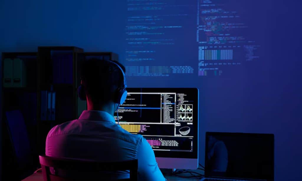 Web Developer