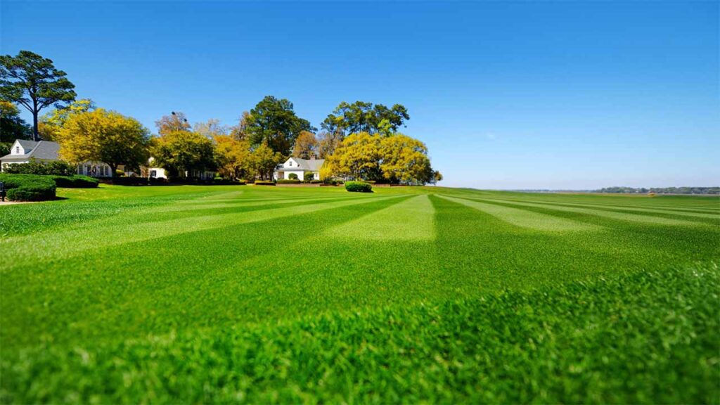 A vast, perfectly manicured green lawn stretches into the distance