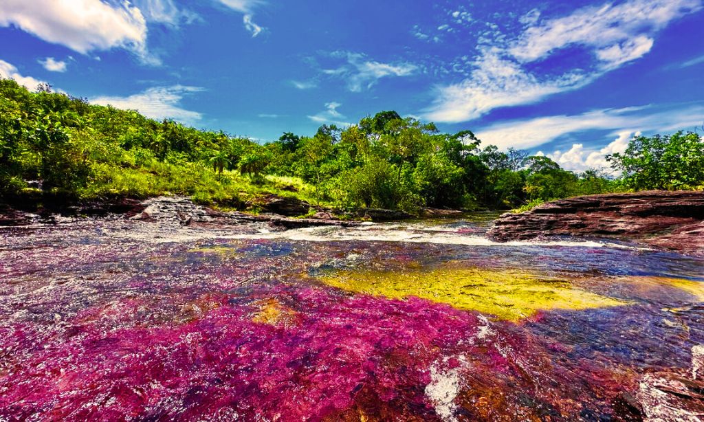 Caño Cristales, Colombia